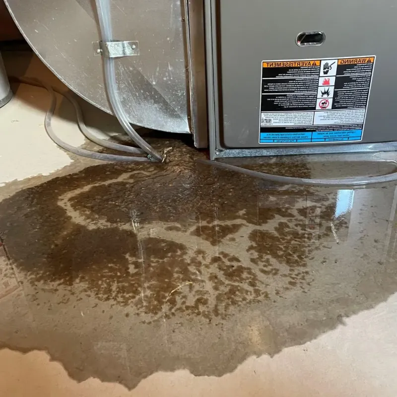 Pipe Burst and Leak Restoration in Douglass Hills, KY