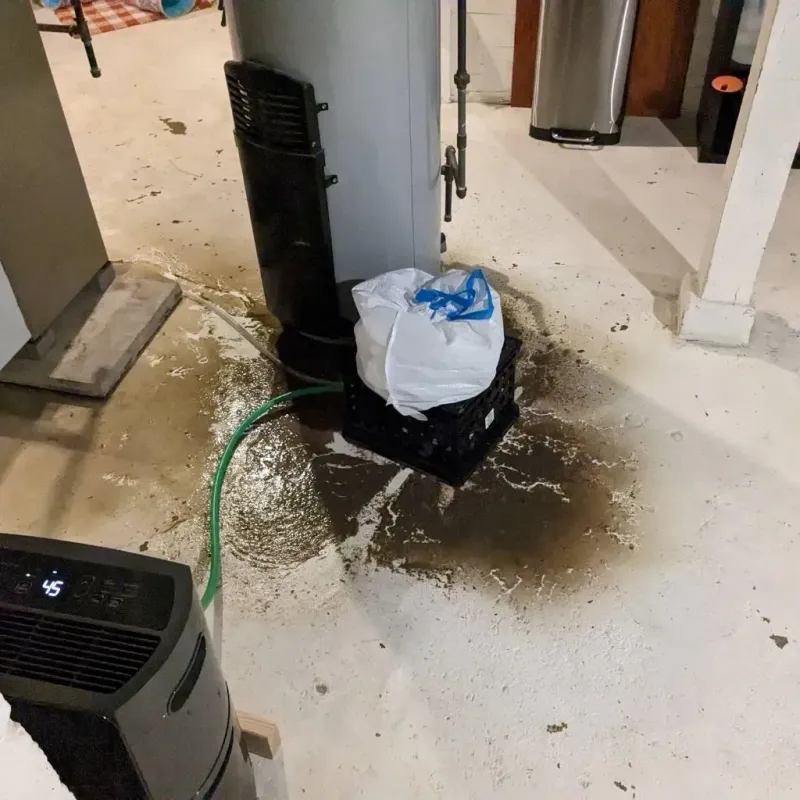 Sewage Backup Cleanup Service in Douglass Hills, KY